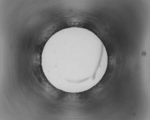 X0000111950820200907271434