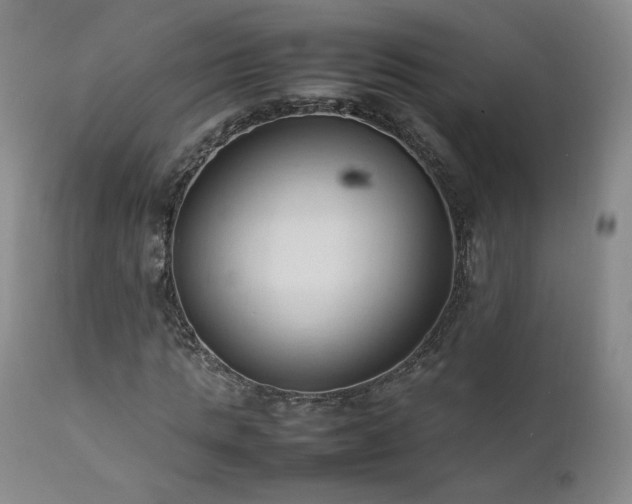 X0000111950821200907271434
