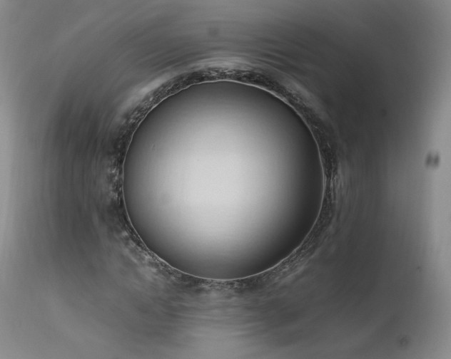 X0000111950822200907271434