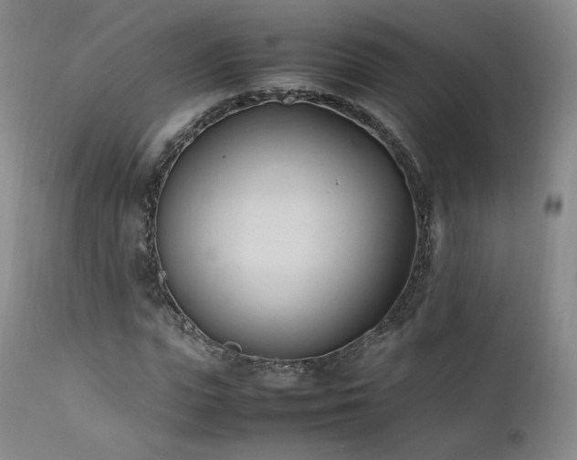X0000111950823200907271434