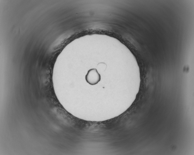 X0000111950824200907271434