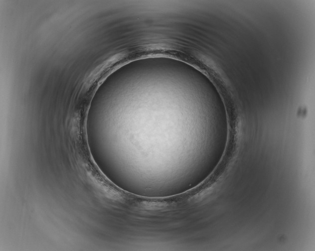 X0000111950825200907271434