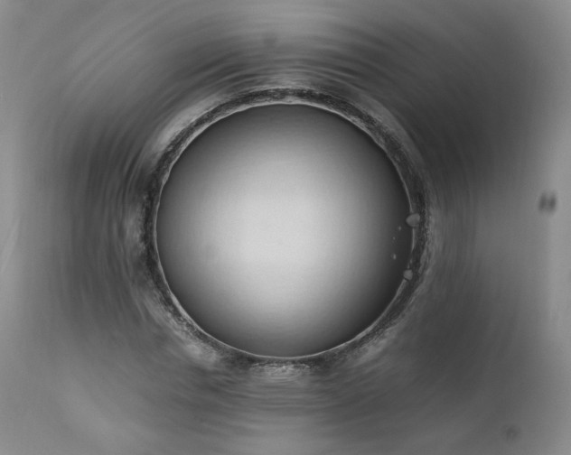 X0000111950826200907271434