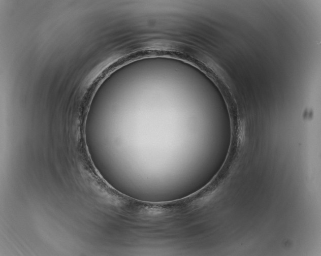 X0000111950829200907271434