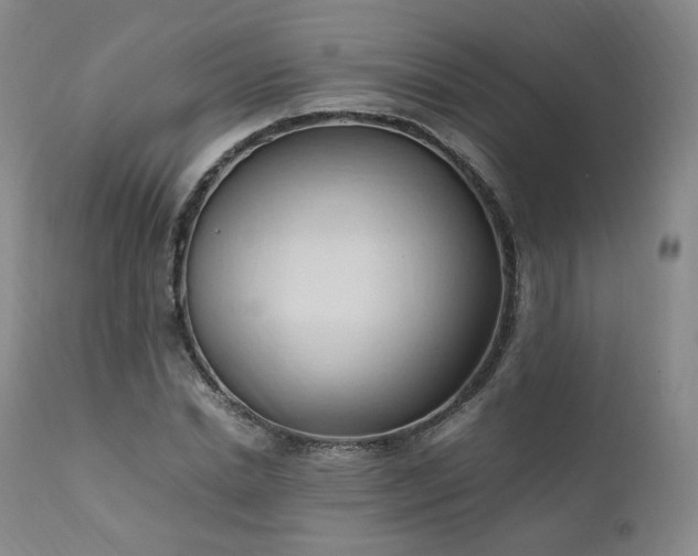 X0000111950830200907271435