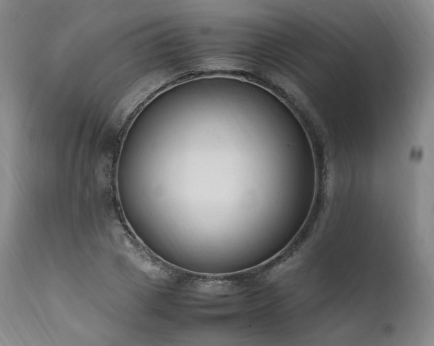 X0000111950833200907271435