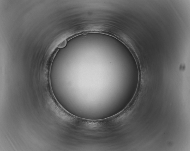 X0000111950835200907271435