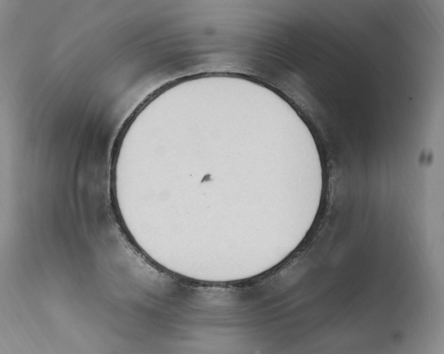 X0000111950836200907271435