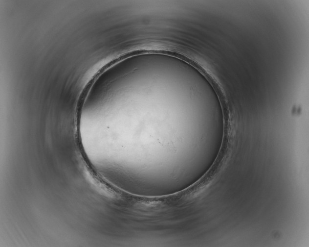 X0000111950837200907271435