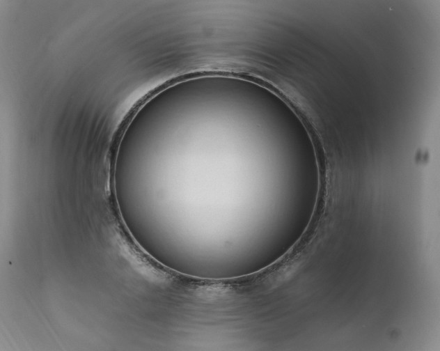 X0000111950838200907271435