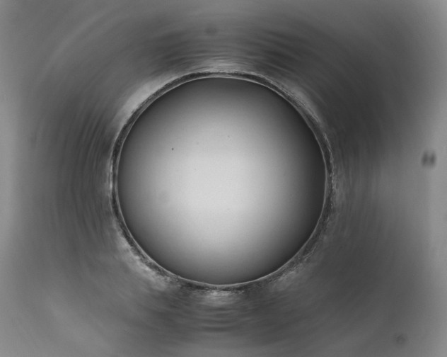 X0000111950839200907271435