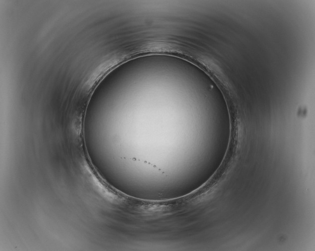 X0000111950841200907271435