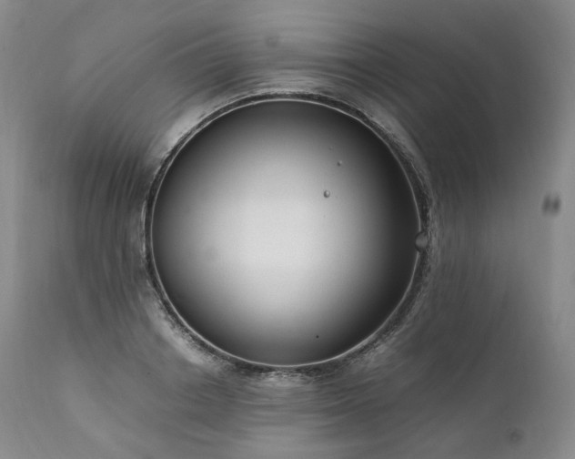 X0000111950842200907271435