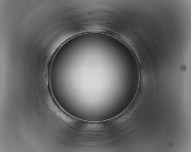 X0000111950843200907271435