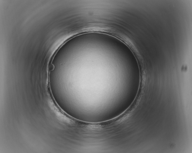 X0000111950844200907271435