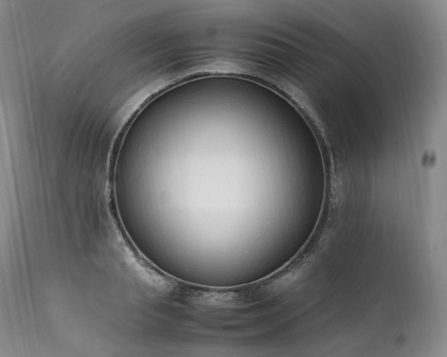 X0000111950845200907271435