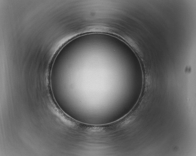 X0000111950846200907271435