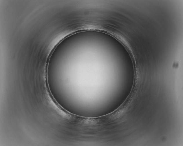 X0000111950847200907271435