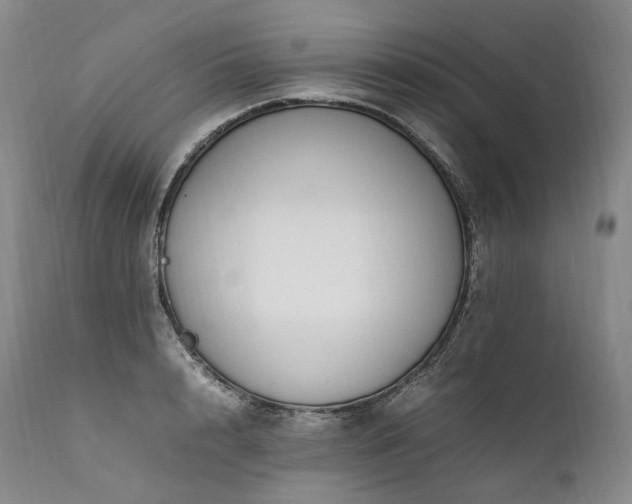 X0000111950848200907271435
