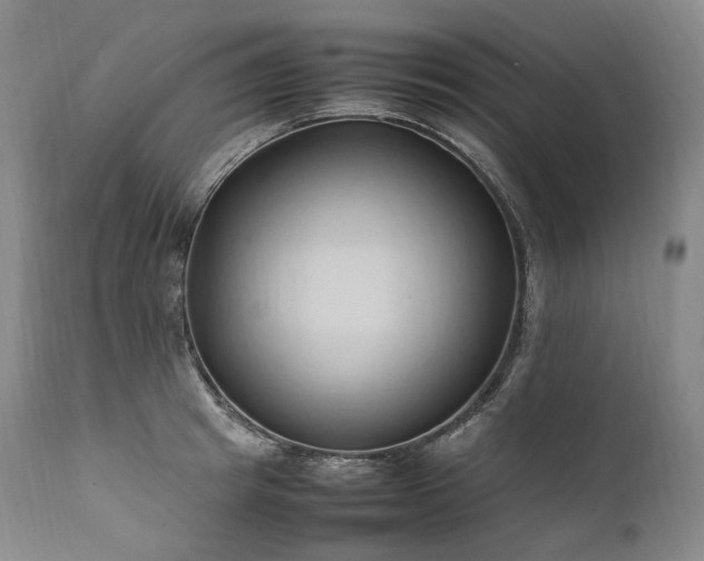 X0000111950849200907271435