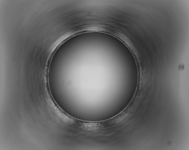 X0000111950853200907271435