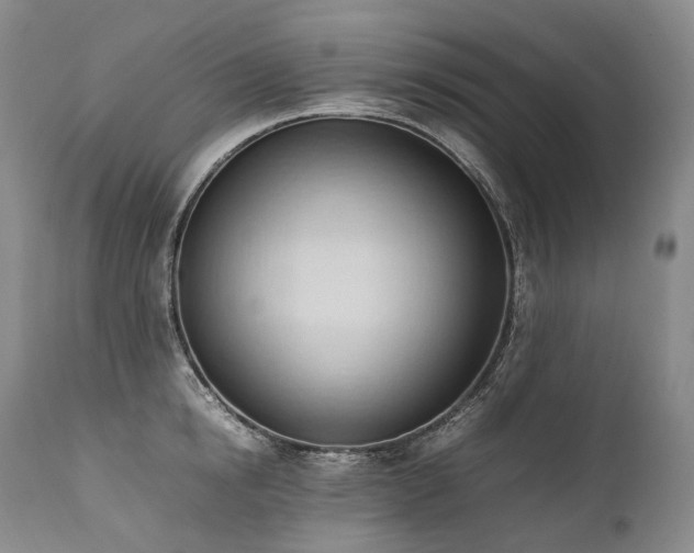 X0000111950854200907271435