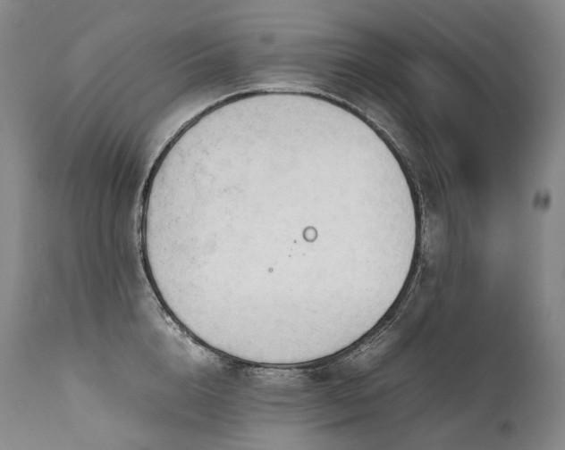 X0000111950856200907271435