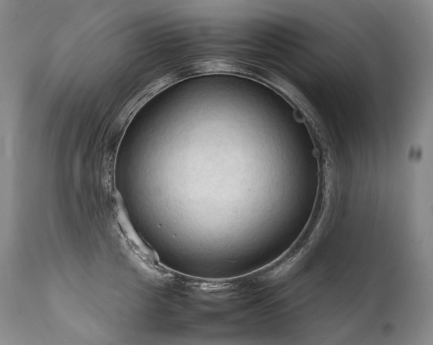 X0000111950857200907271435