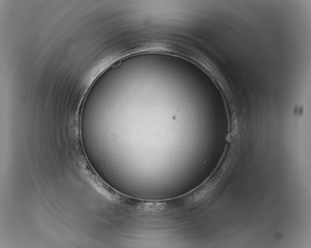 X0000111950858200907271435