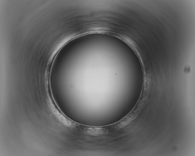 X0000111950859200907271435