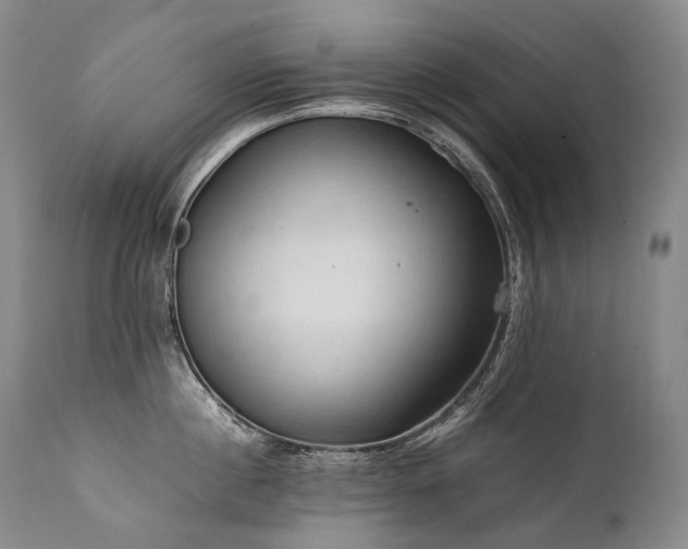 X0000111950860200907271435