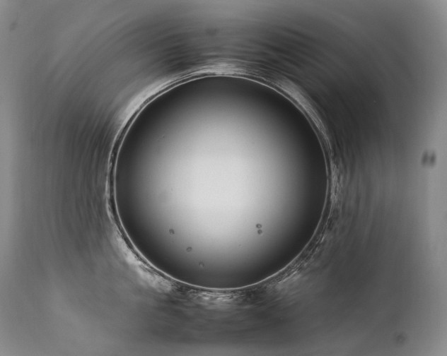 X0000111950861200907271435