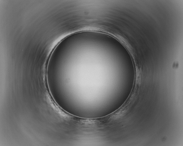 X0000111950862200907271435