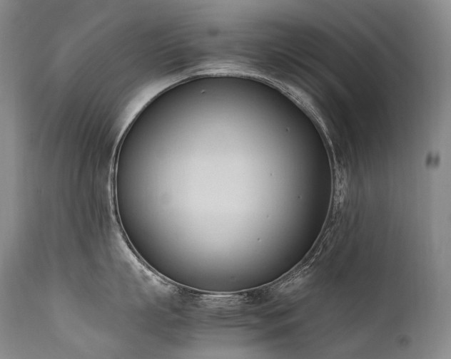 X0000111950863200907271435