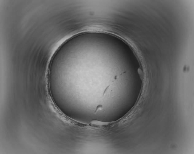 X0000111950864200907271435
