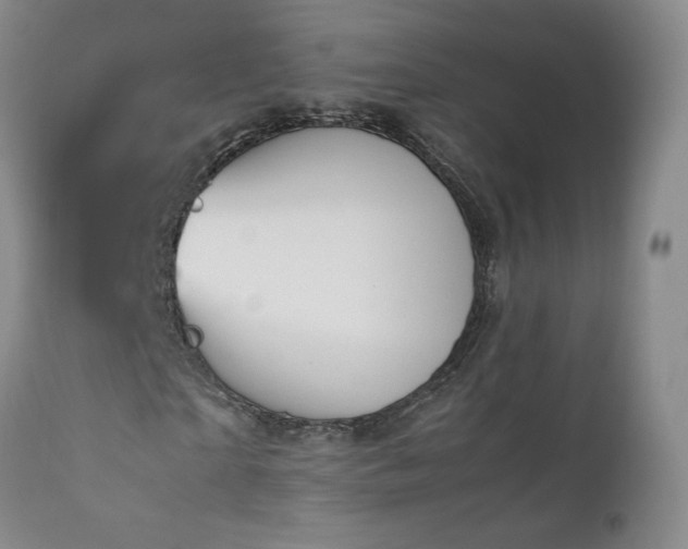 X0000111950865200907271434