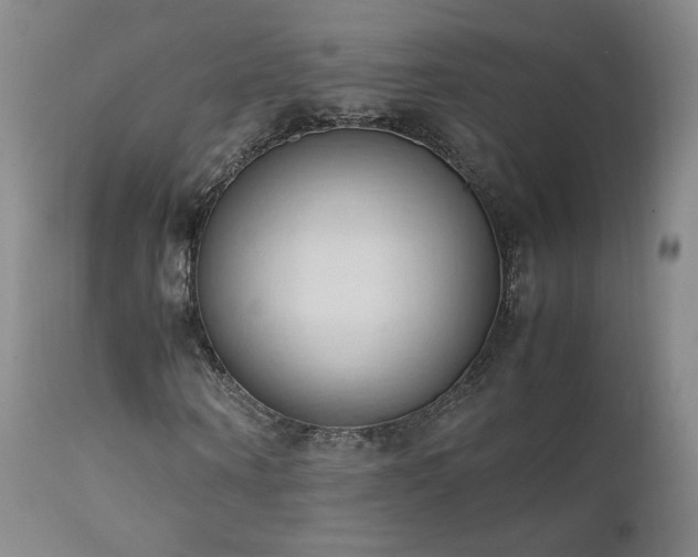 X0000111950866200907271434