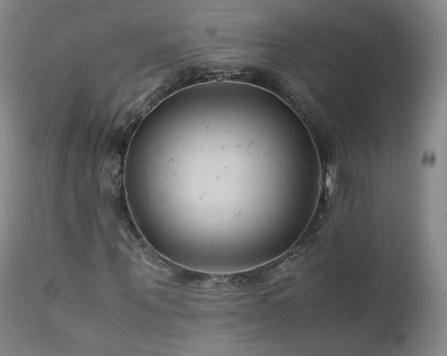 X0000111950867200907271434
