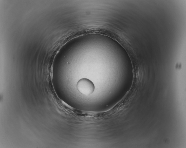 X0000111950868200907271434