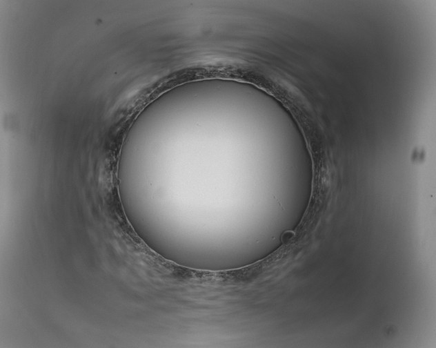 X0000111950869200907271434