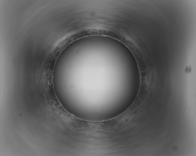 X0000111950870200907271434