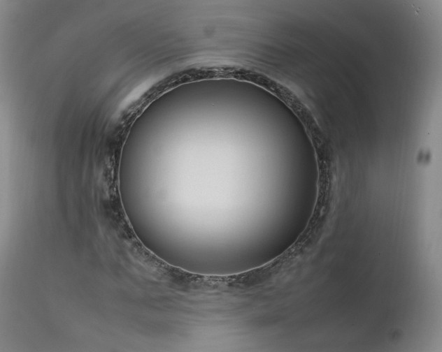 X0000111950871200907271434