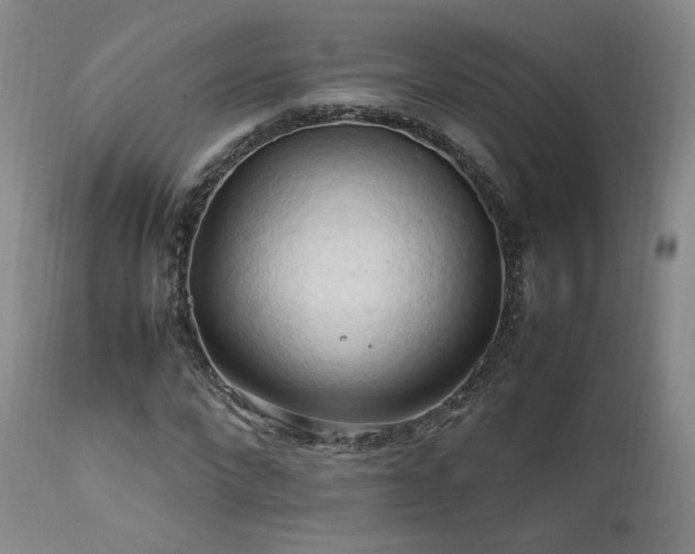 X0000111950872200907271434