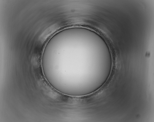 X0000111950873200907271434