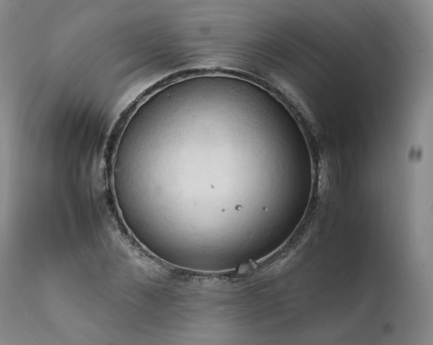 X0000111950876200907271434