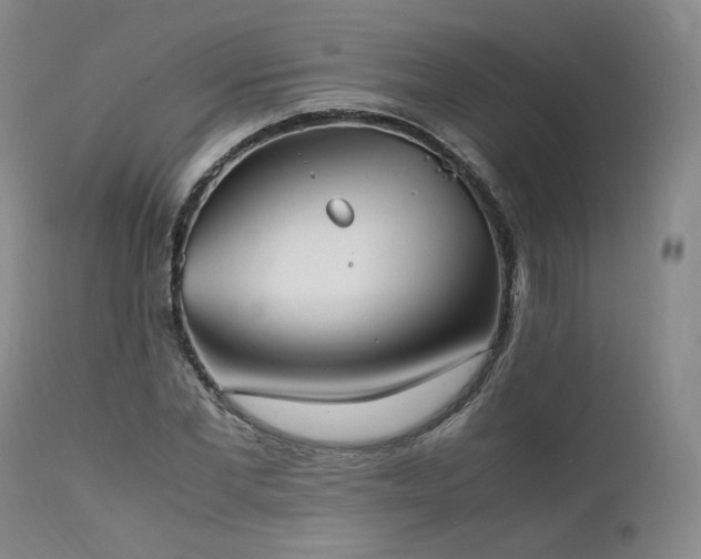X0000111950877200907271434