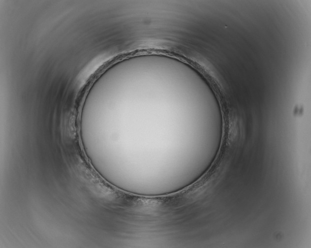 X0000111950878200907271434