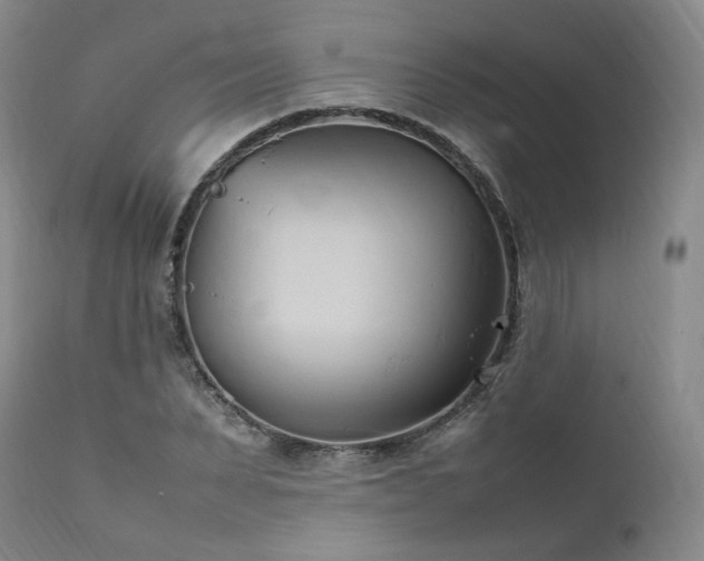 X0000111950879200907271434
