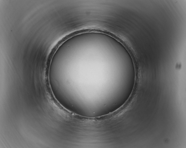 X0000111950880200907271434
