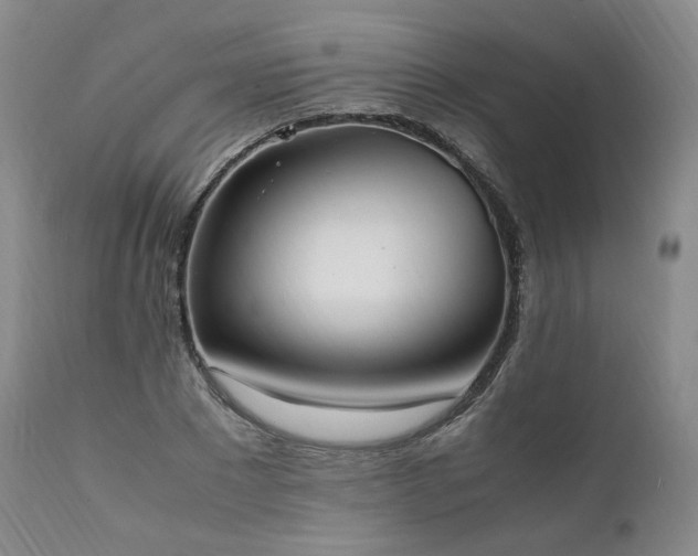X0000111950881200907271434